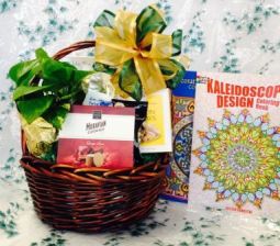 Sensational Get Well Soon Basket With Plant ($50-$100 & Up)